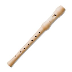 Flauta Hohner 9534 Madera...