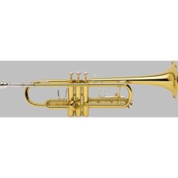 Trompeta Bach TR-300H2 Lacada