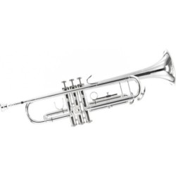 Trompeta Bach TR-300H2...