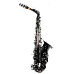 Saxo Alto Taylor Collins...