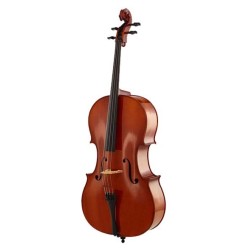 Cello Alfred Stingl-Höfner...