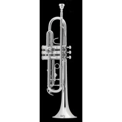 Trompeta Bach Sib. Tr500S....