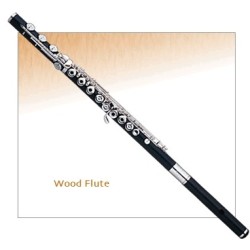 Flauta Sankyo Wf-Be....