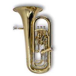 Bombardino Taylor Collins...