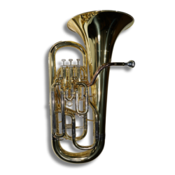 Bombardino Taylor Collins...