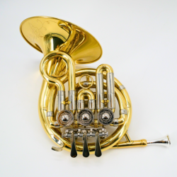 Trompa niños Taylor Collins...