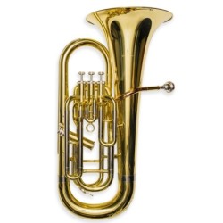 Bombardino Taylor Collins...