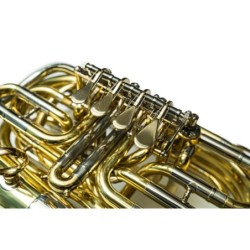 Tuba niños Taylor Collins...