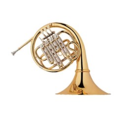 Trompa Taylor Collins...