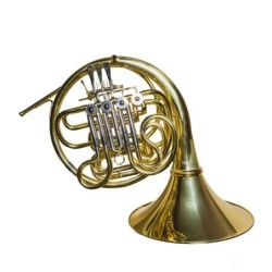 Trompa Taylor Collins...