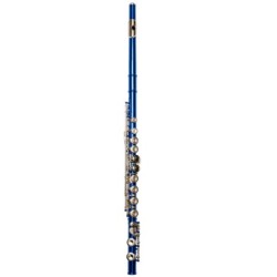 Flauta Travesera Taylor...