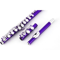 Flauta Travesera Taylor...