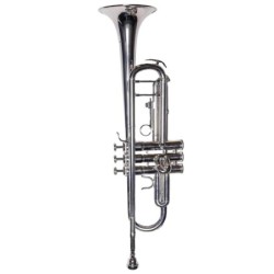 Trompeta Taylor Collins...