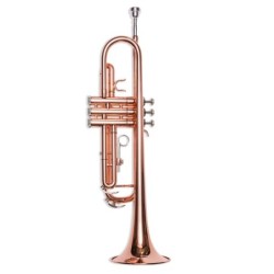 Trompeta Taylor Collins...