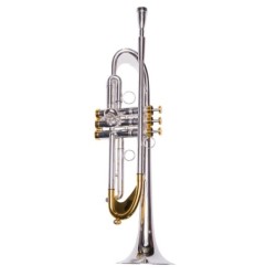 Trompeta Taylor Collins...