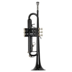 Trompeta Taylor Collins...