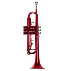 Trompeta Taylor Collins...