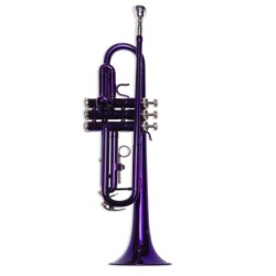 Trompeta Taylor Collins...