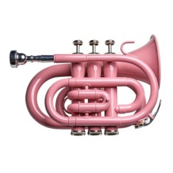 Trompeta  Pocket Taylor...