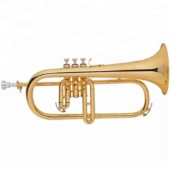 Fliscorno Taylor Collins...