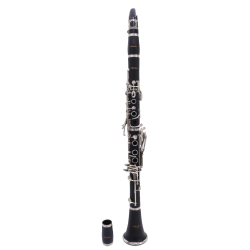 CLARINETE AMADEUS CL418 EN...